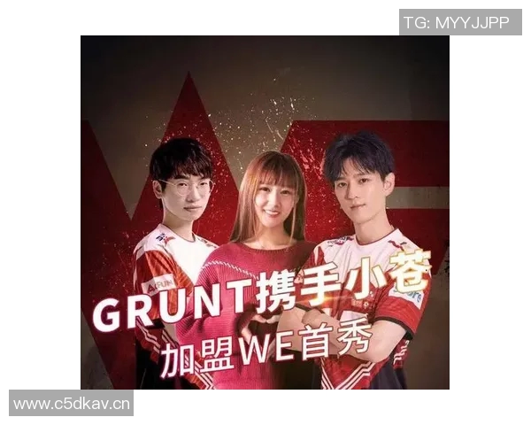 英雄联盟实力榜单更新WE战队荣登第六名展现强劲实力